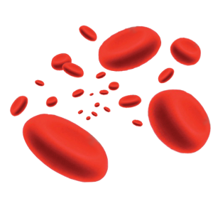 27620871-flowing-red-blood-cell-modified